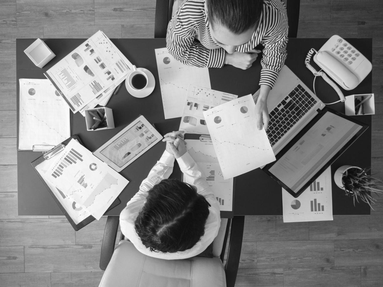 SEO atölye çalışması